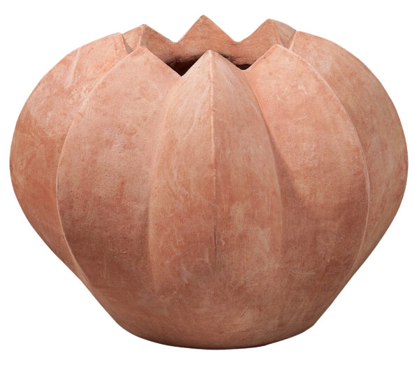 terracotta Astrophitum planter from Francesco del Re