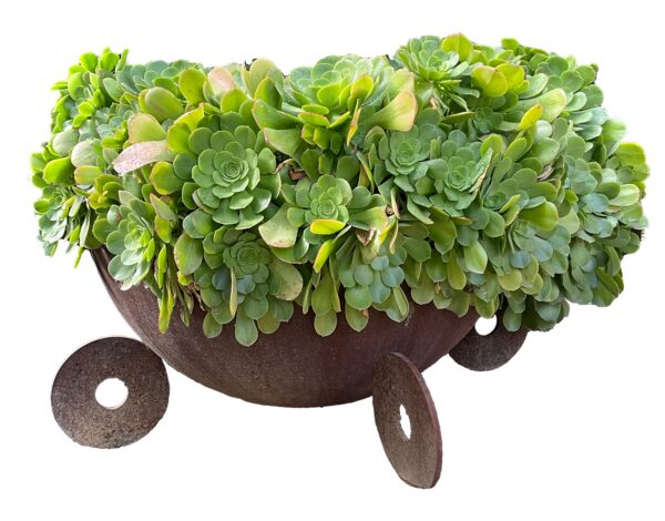 Round shallow rusted steel bowl planter with large washer-shaped disc feet, overflowing with green succulents