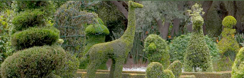 Topiary_lotusland