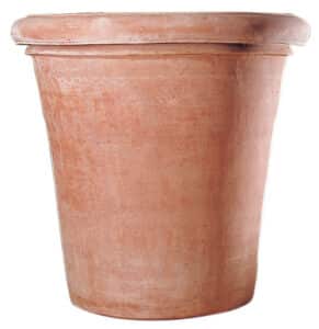Vaso Camelie